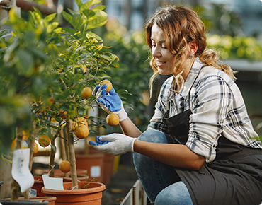 Majority of students dissatisfied